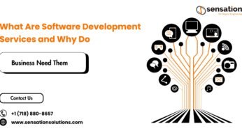 What Are Software Development Services and Why Do Businesses Need Them?