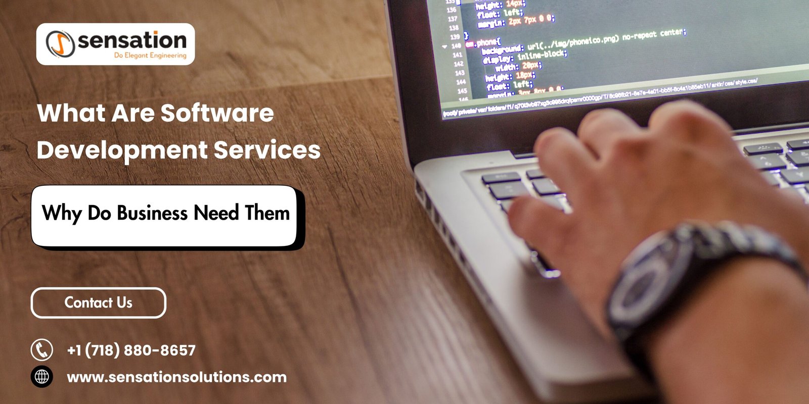 What Are Software Development Services and Why Do Businesses Need Them?