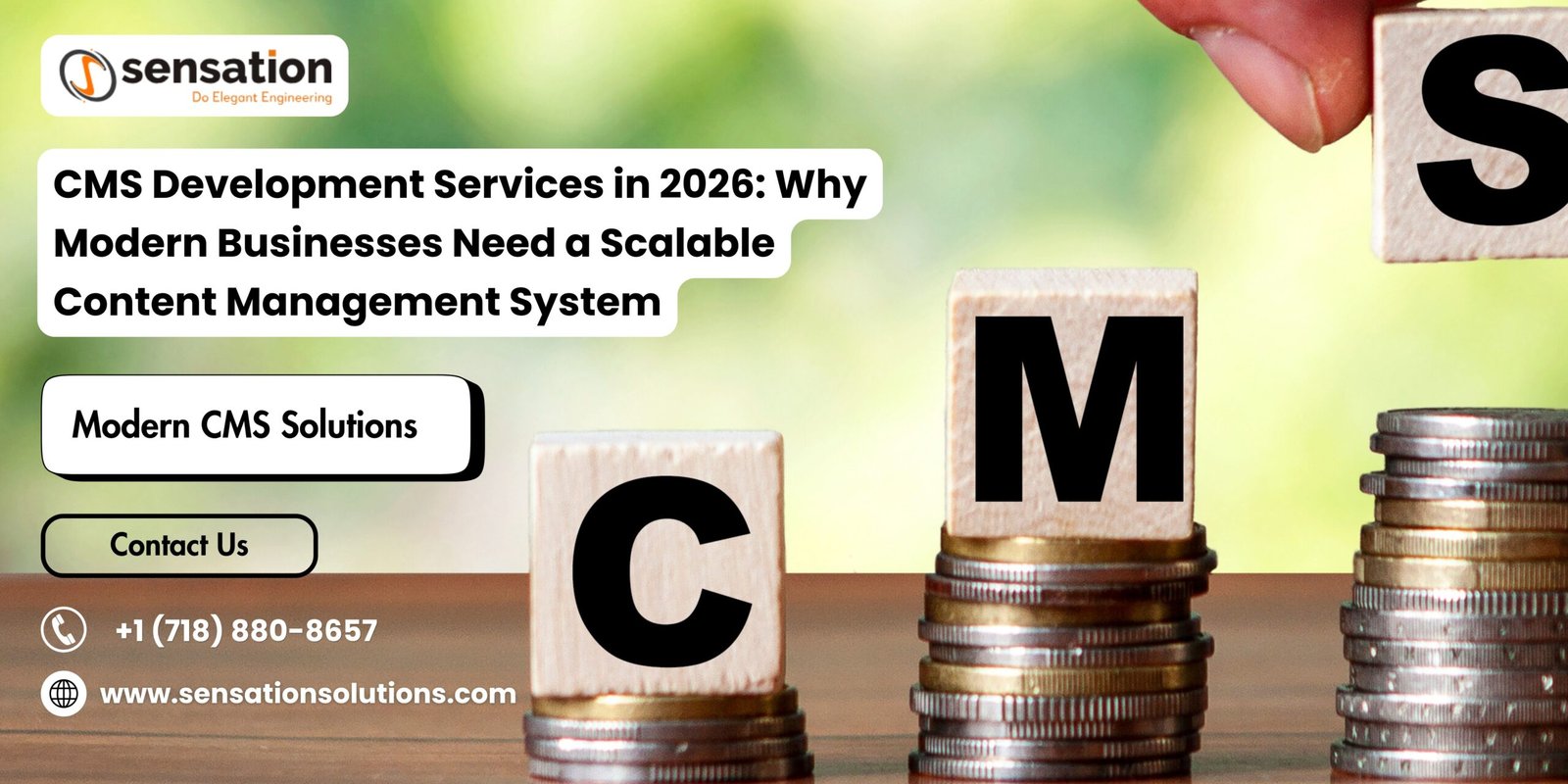 CMS Development Services in 2026